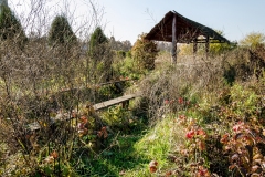 wirow_jesienia_2013_14