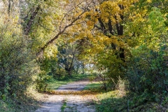 wirow_jesienia_2013_17