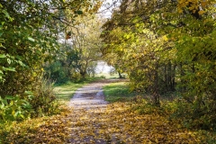 wirow_jesienia_2013_19