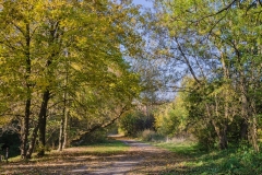 wirow_jesienia_2013_24