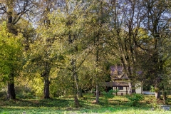 wirow_jesienia_2013_30