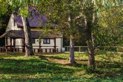 wirow_jesienia_2013_31