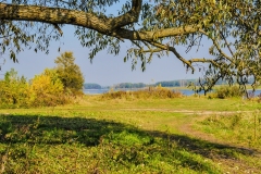 wirow_jesienia_2013_32