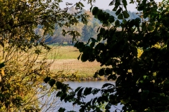 wirow_jesienia_2013_33