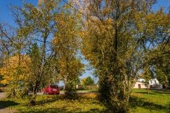 wirow_jesienia_2013_37