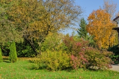 wirow_jesienia_2013_39