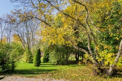 wirow_jesienia_2013_40