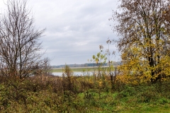 wirow_jesienia_2013_46