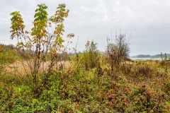 wirow_jesienia_2013_51