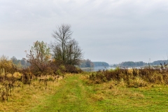 wirow_jesienia_2013_52