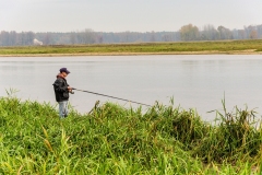 wirow_jesienia_2013_54