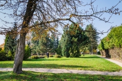 wirow_jesienia_2013_9