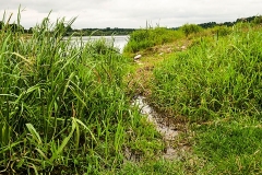 Wirow-latem-2012-004