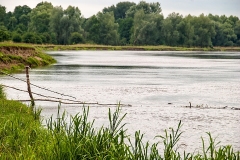 Wirow-latem-2012-005