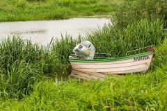 Wirow-latem-2012-008