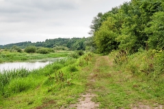 Wirow-latem-2012-010