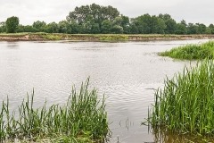 Wirow-latem-2012-011