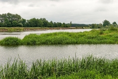 Wirow-latem-2012-012