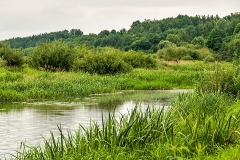 Wirow-latem-2012-013