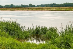 Wirow-latem-2012-014