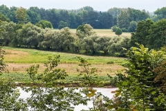 Wirow-latem-2012-016