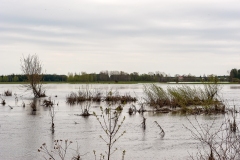 Wysoka_woda_2013-11