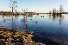 Ze zbiorów Andrzeja Serafina